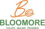 Logo Bloomore